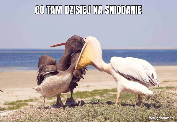 Co tam dzisiej na sniadanie
